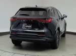 2024 Lexus NX 350h Premium