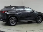 2024 Lexus NX 350h Premium