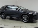 2024 Lexus NX 350h Premium