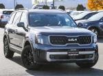 2023 Kia Telluride SX-Prestige X-Pro