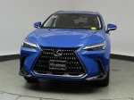 2024 Lexus NX 350h Premium