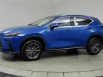 2024 Lexus NX 350h Premium