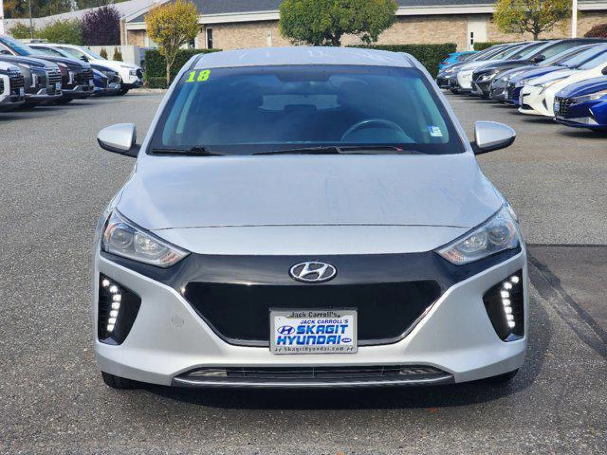 2018 Hyundai IONIQ EV Electric