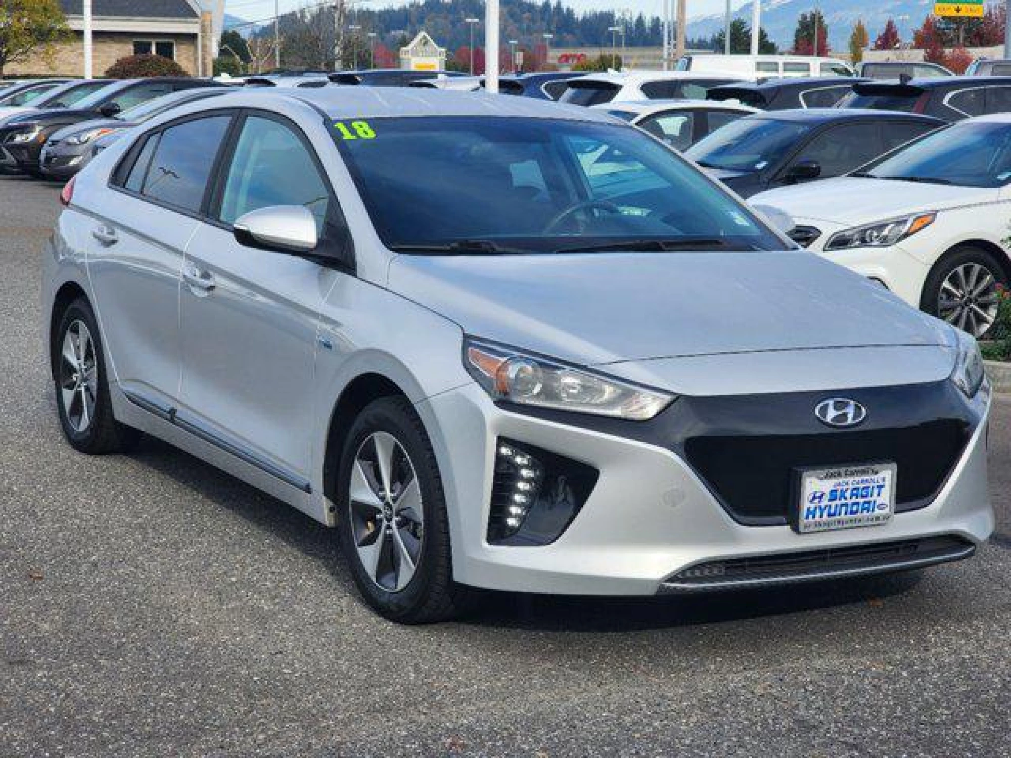 2018 Hyundai IONIQ EV Electric