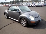 2006 Volkswagen New Beetle 2.5