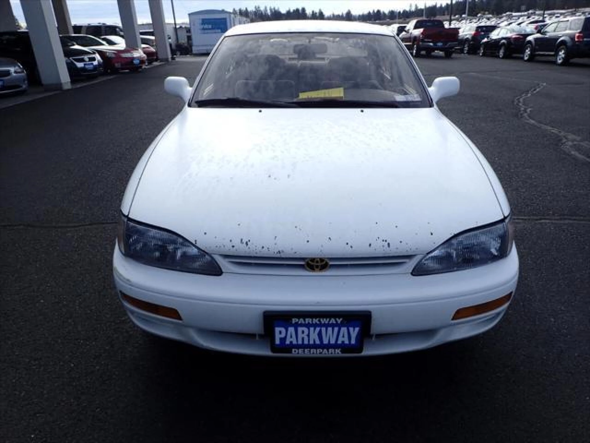 1995 Toyota Camry LE