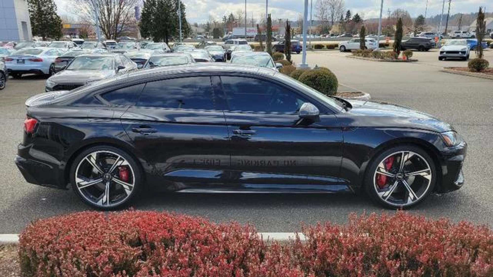 2023 Audi RS 5 2.9T