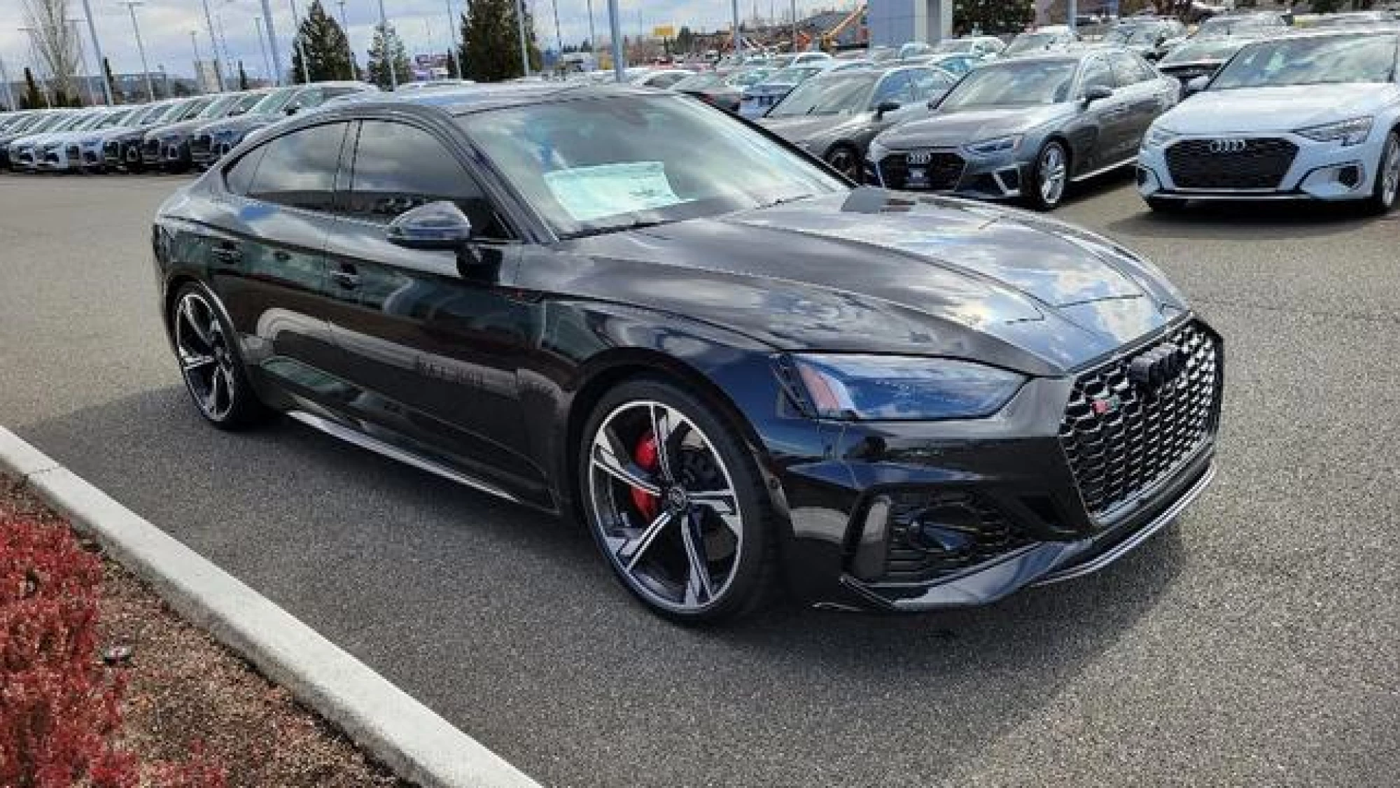 2023 Audi RS 5 2.9T