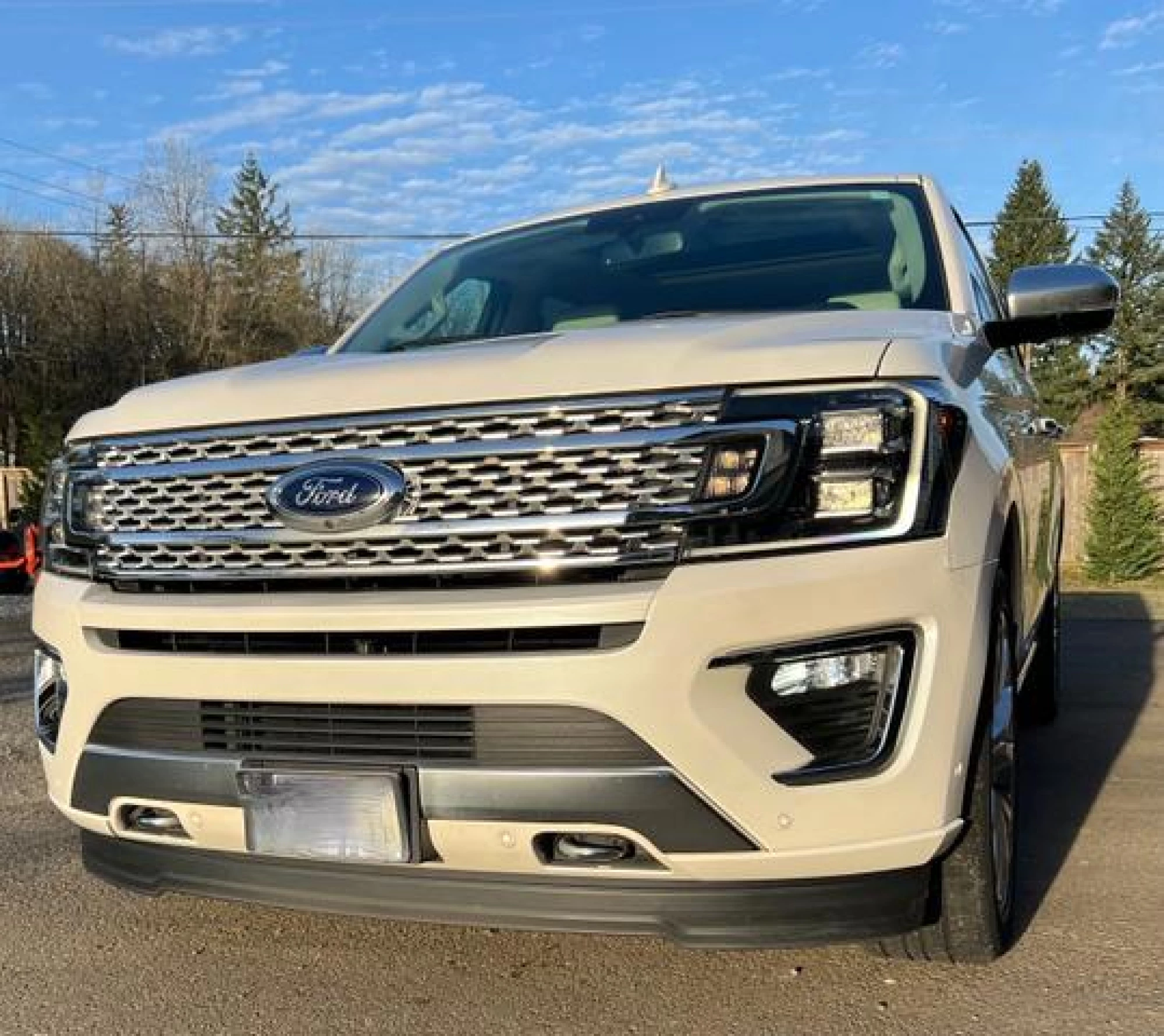 2019 Ford Expedition Max Platinum