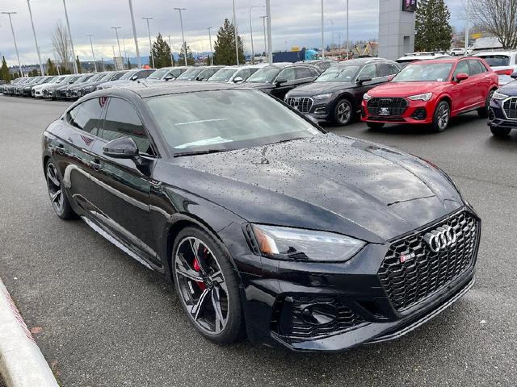 2023 Audi RS 5 2.9T