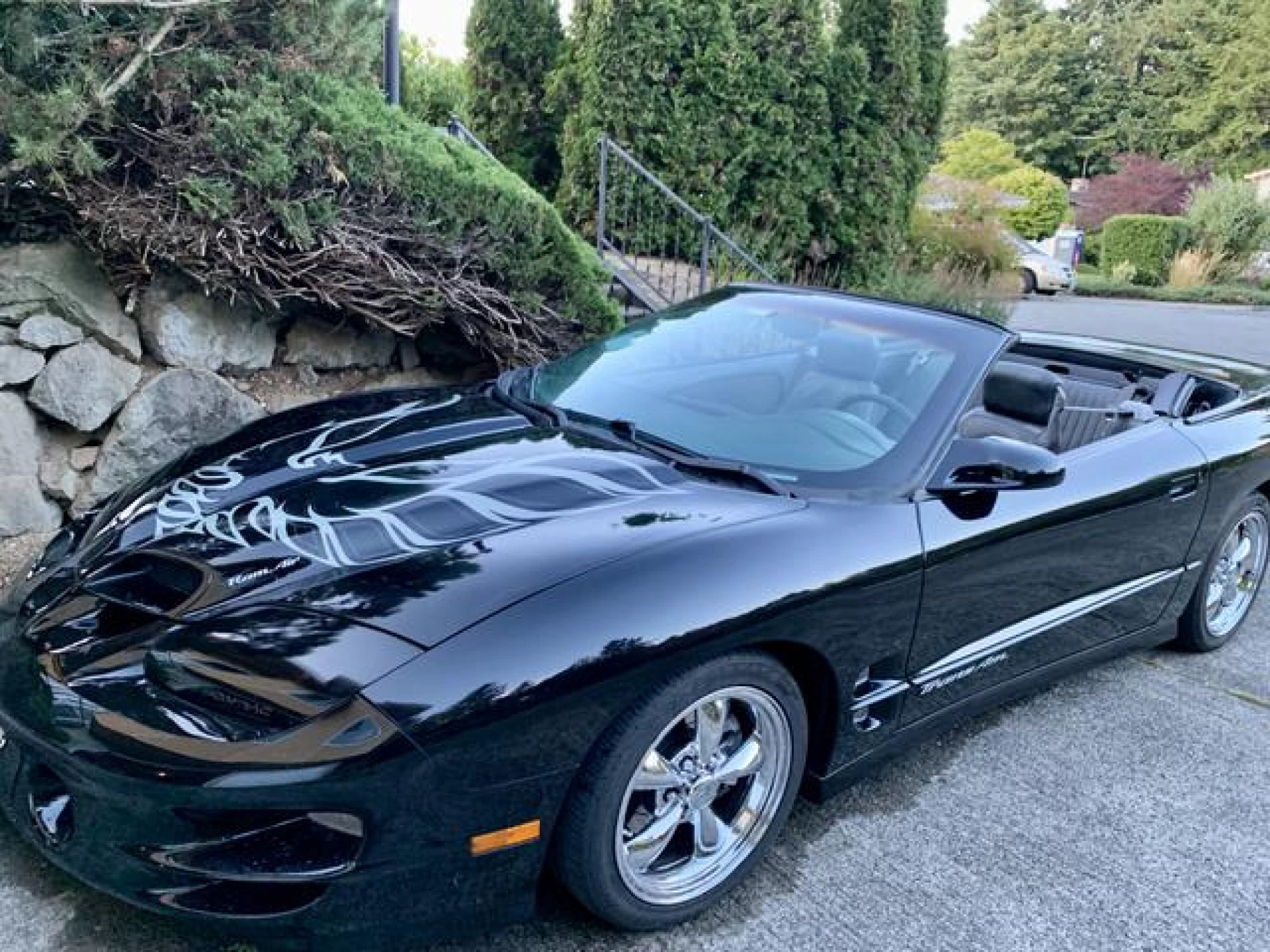1999 Pontiac Firebird Trans Am