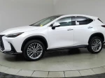 2024 Lexus NX 350 Luxury