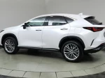 2024 Lexus NX 350 Luxury