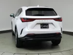 2024 Lexus NX 350 Luxury