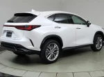 2024 Lexus NX 350 Luxury