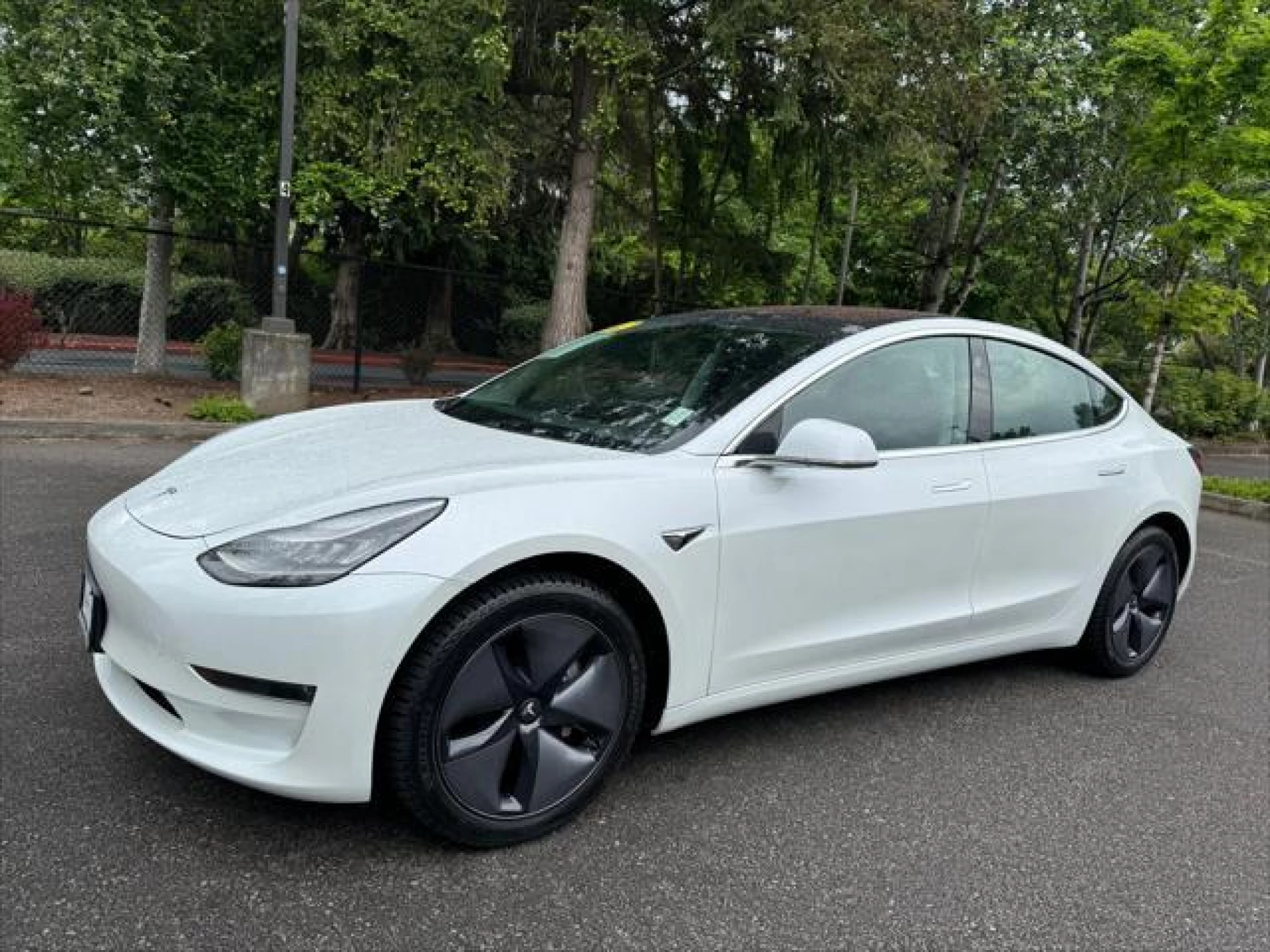 2019 Tesla Model 3 Standard Range