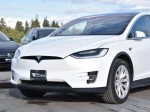 2019 Tesla Model X Long Range