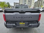 2022 Toyota Tundra Platinum