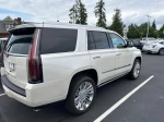 2015 Cadillac Escalade Platinum