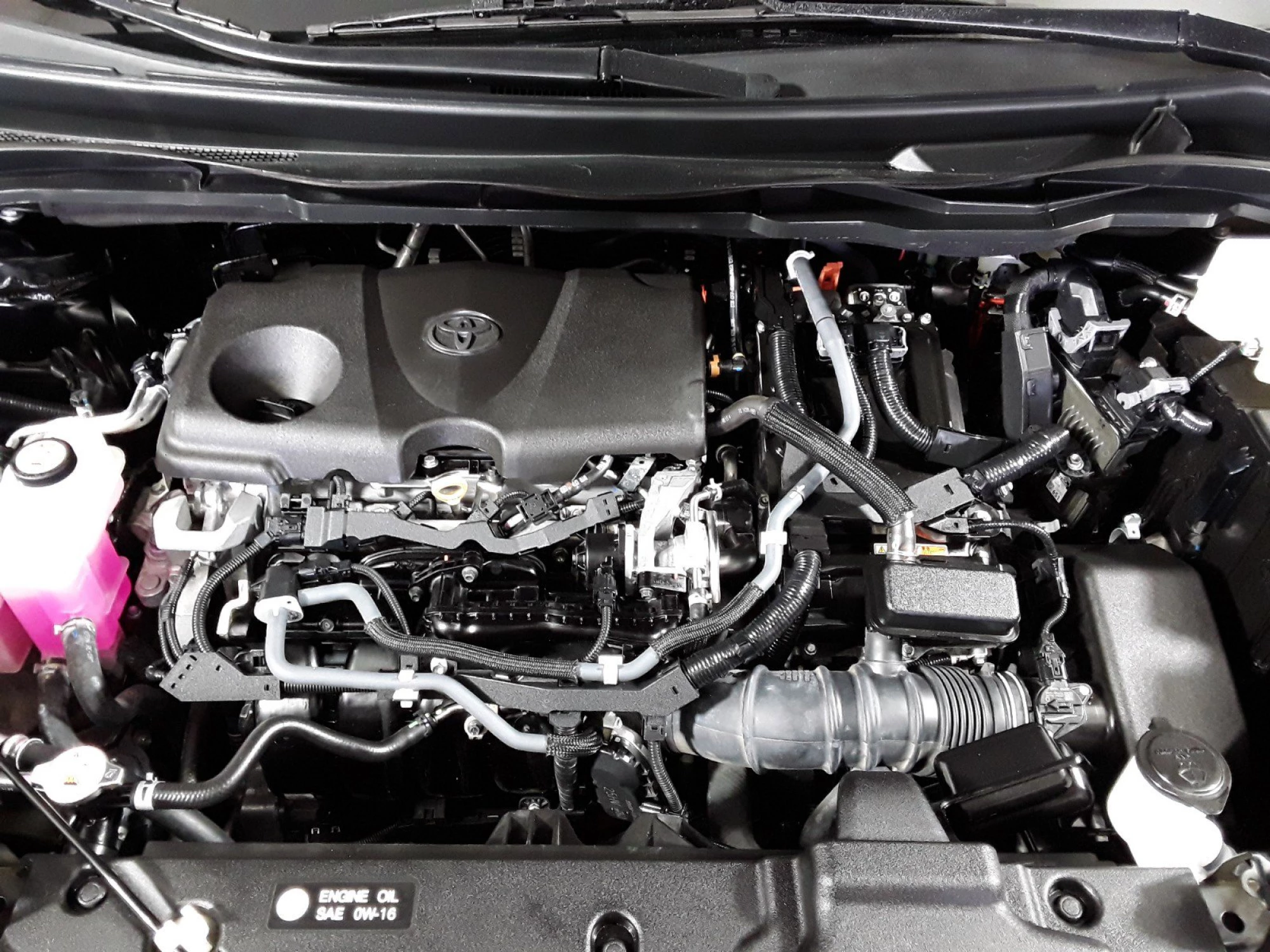 2021 Toyota Sienna LE FWD 8-Passenger