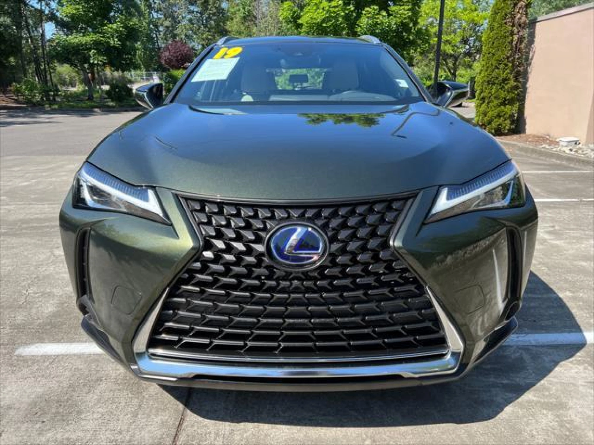 2019 Lexus UX 250h Luxury