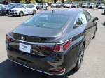 2023 Lexus ES 250 Base