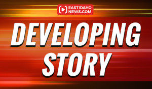 EIN DevelopingStory