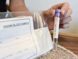 rape kit2