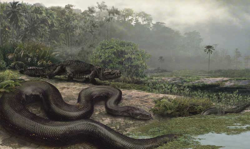 Titanboa