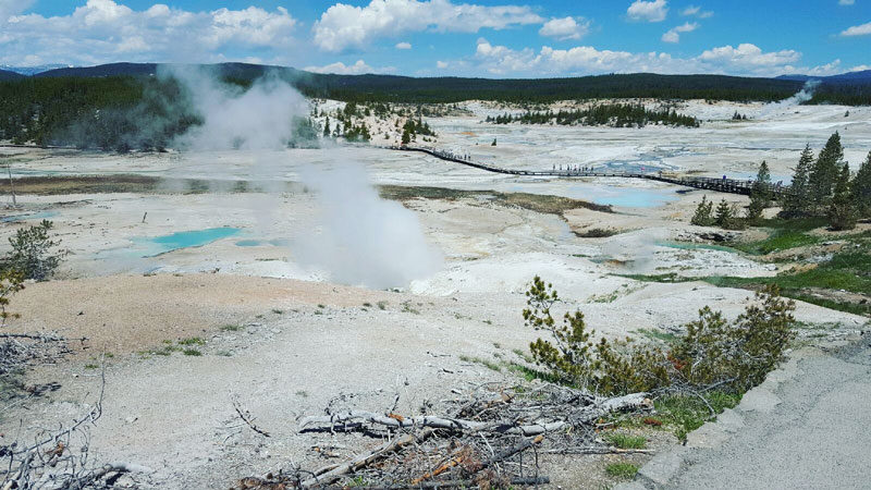 NorrisGeyeserBasinYellowstone