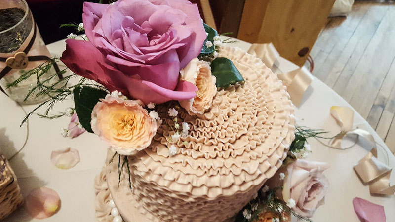 paisleycakes
