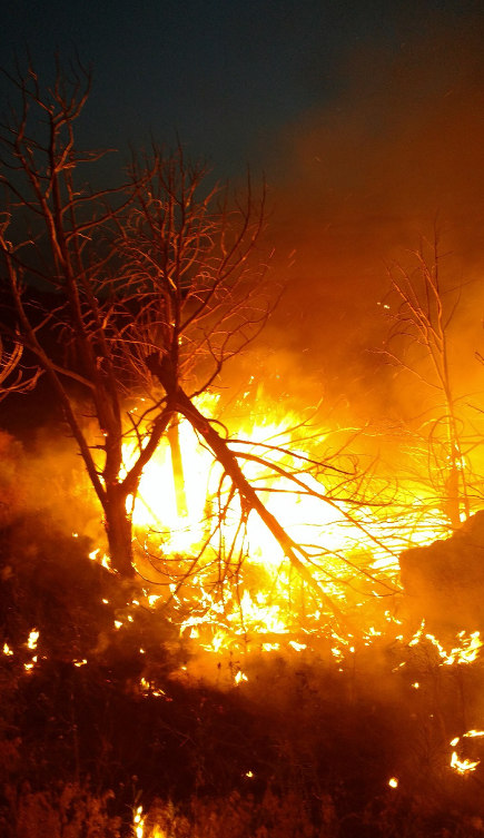 Fire In Ammon Foothills Contained At 22 Acres East Idaho News