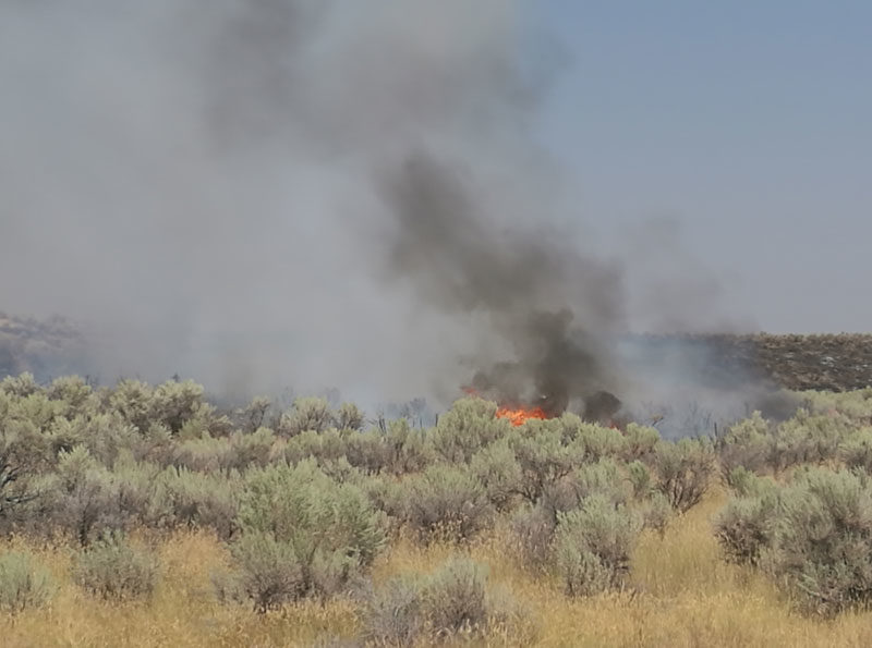 Menan Butte Fire01
