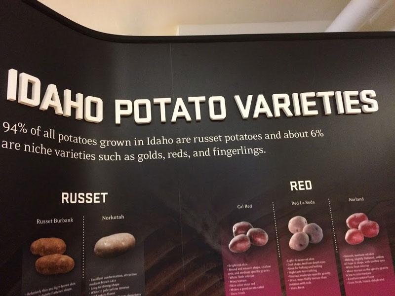 Potato Museum 04