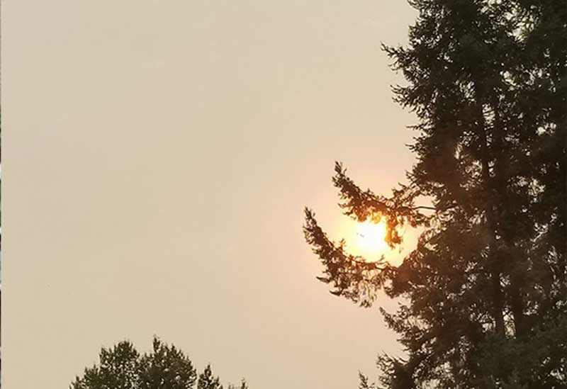 Smokey