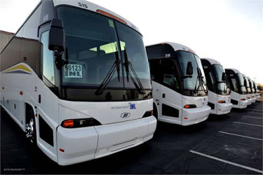 buses