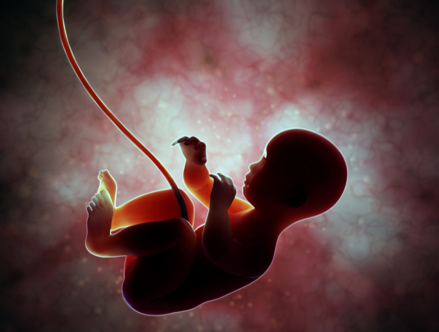 Baby Womb