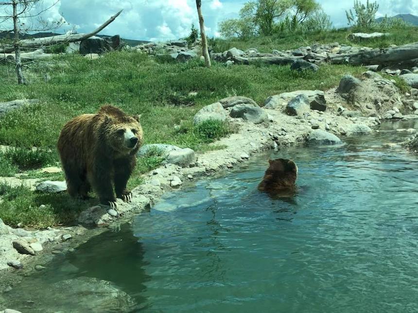 zoo idaho1