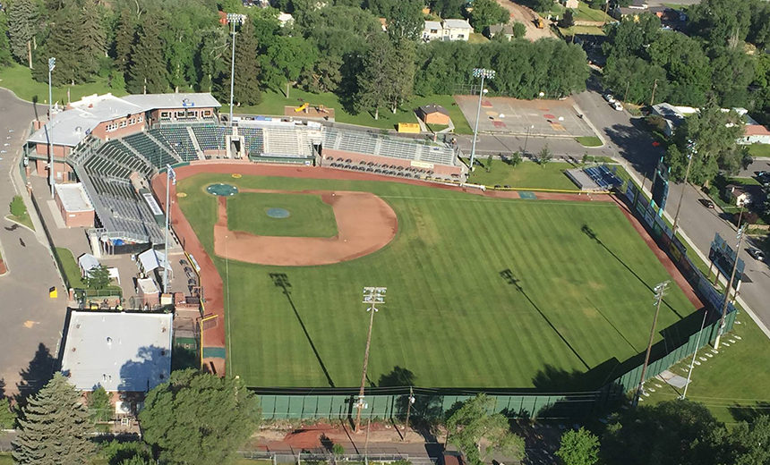 melaleuca field