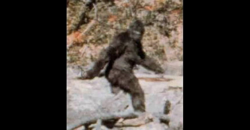 Patterson Gimlin bigfoot