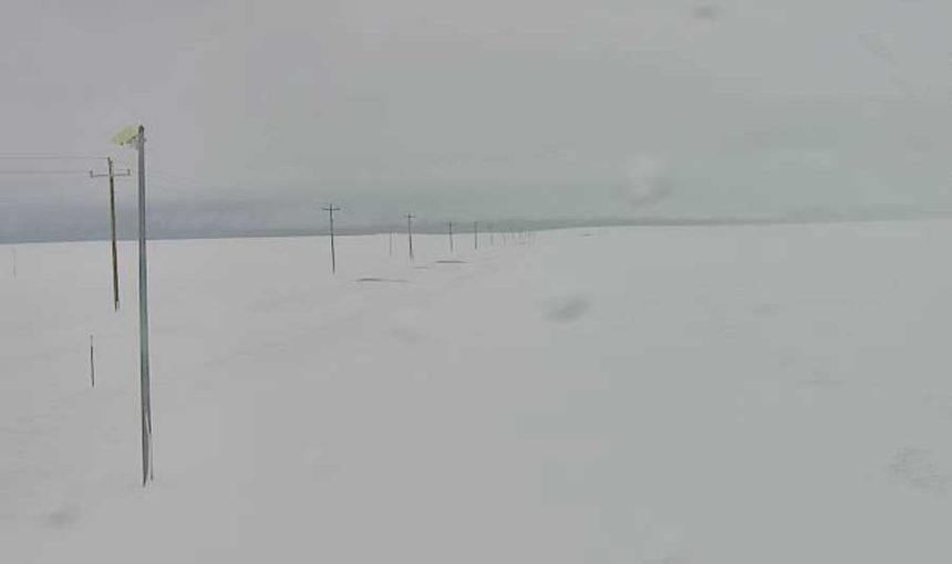 SNOWID33