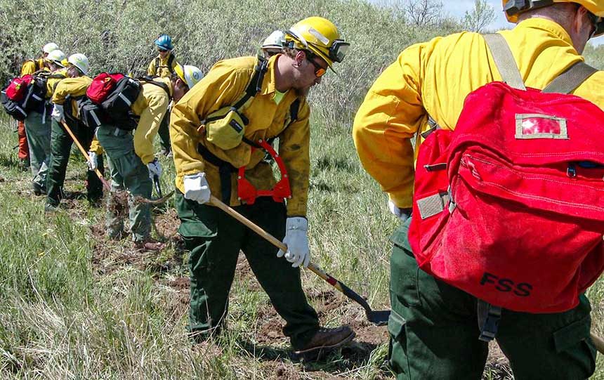 Wildfire Training