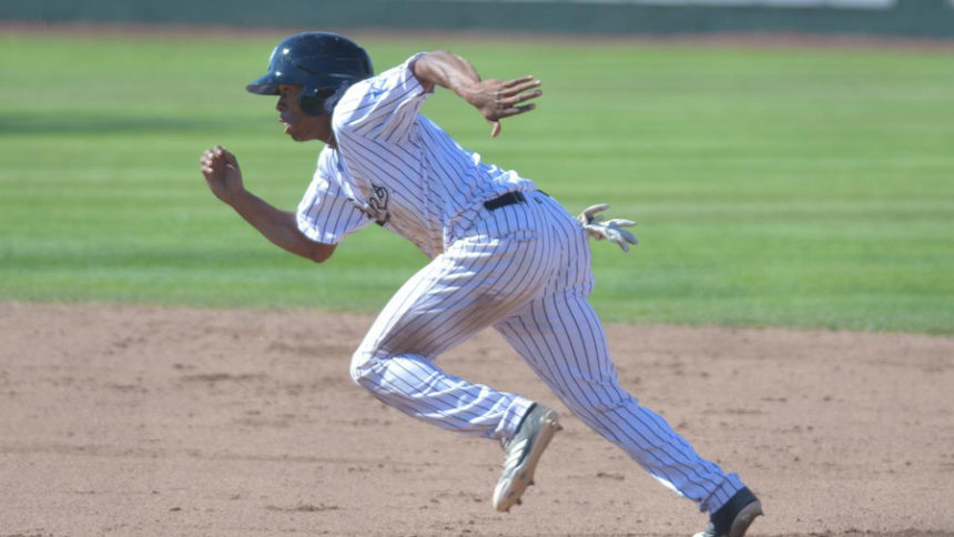chukars pic