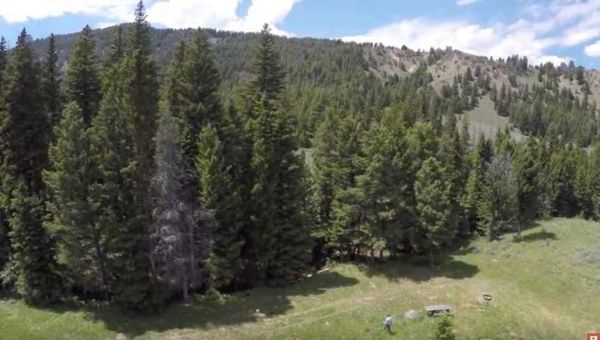 timber creek campground