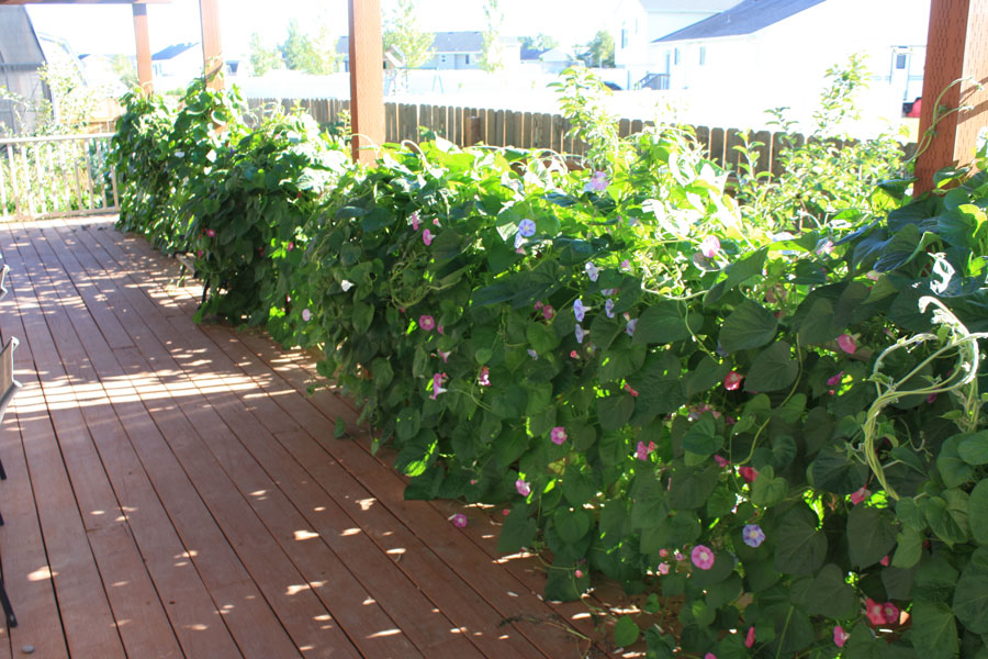 Gardening03