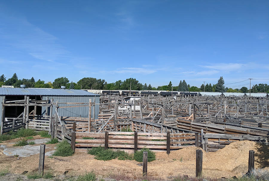 Idaho Falls hires architect to design new police station East Idaho News