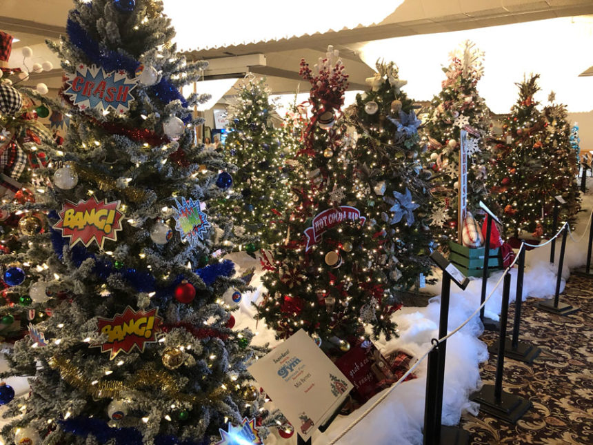 45th festival of trees