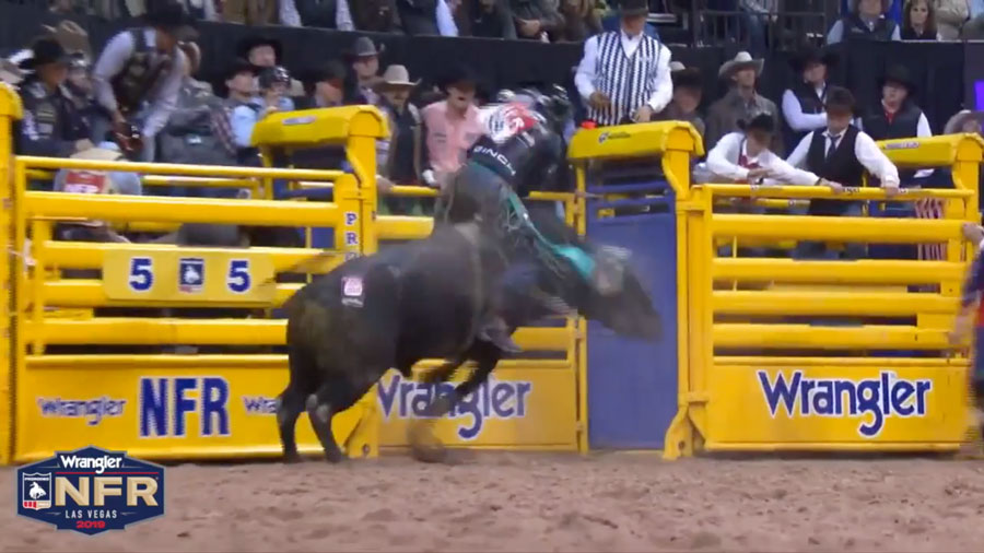 Rexburg man gearing up for fourth National Finals Rodeo after 2-year recovery - Vimarsana News