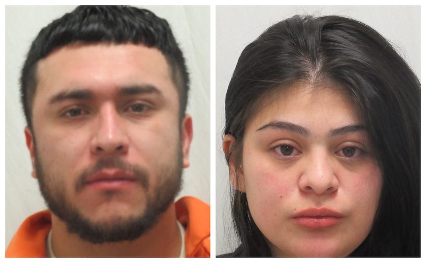 vehicle theft suspects