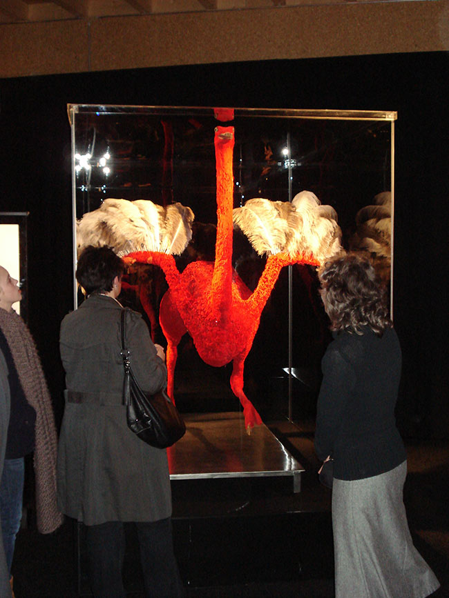 animal bodies moi 1